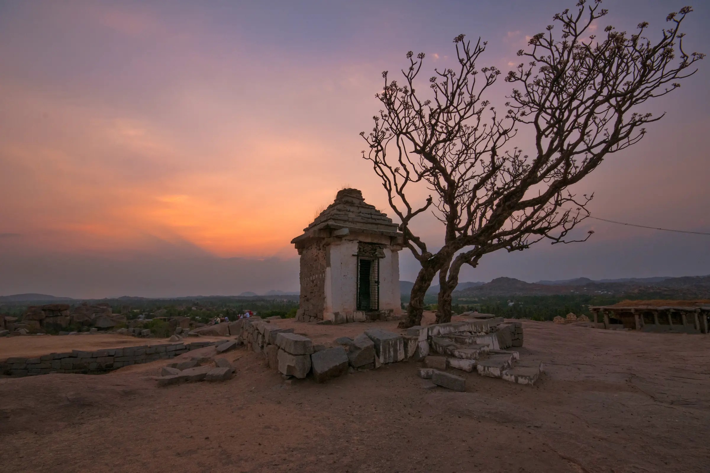 Ancient Ruins And Lone Tree At Sunset by Twin Lens